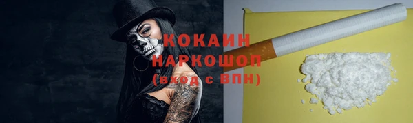 индика Алексин