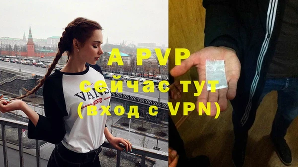 индика Алексин