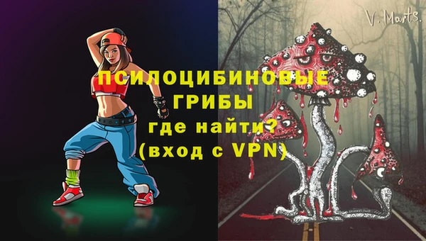 индика Алексин