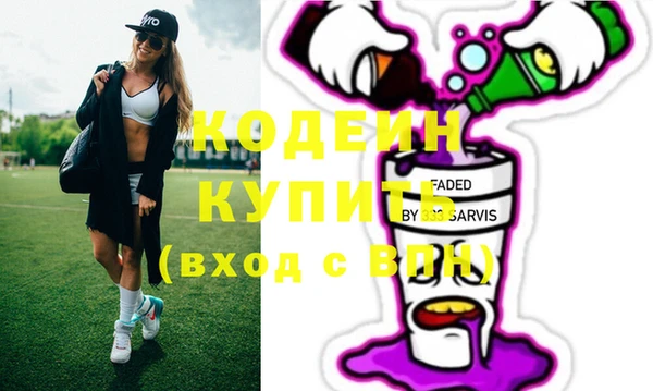 индика Алексин