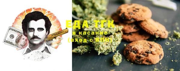 индика Алексин